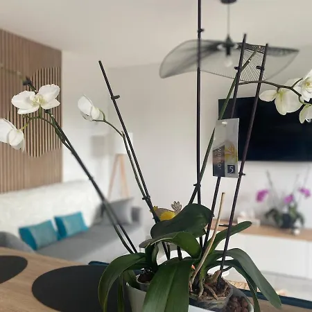 Maison Entre Et Campagne Proche De Paris Ferienhaus